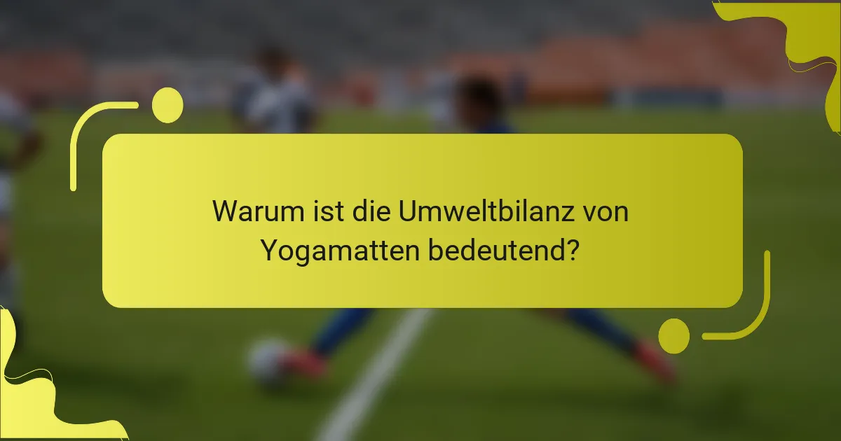Warum ist die Umweltbilanz von Yogamatten bedeutend?