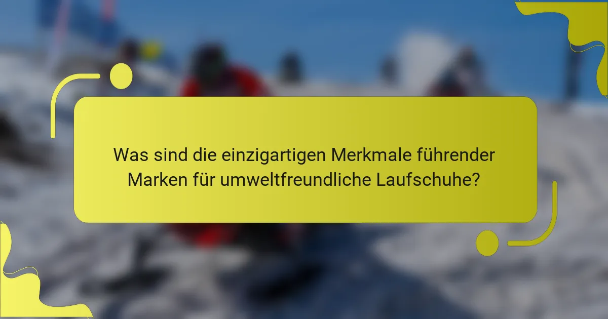 Was sind die einzigartigen Merkmale führender Marken für umweltfreundliche Laufschuhe?